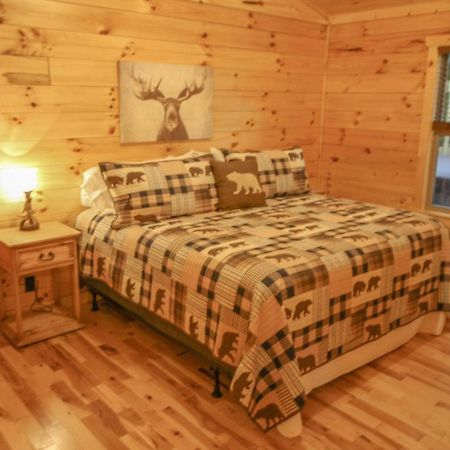 210 Cubs In The Treetops - Luxurious Cabin In Gatlinburg Exteriér fotografie